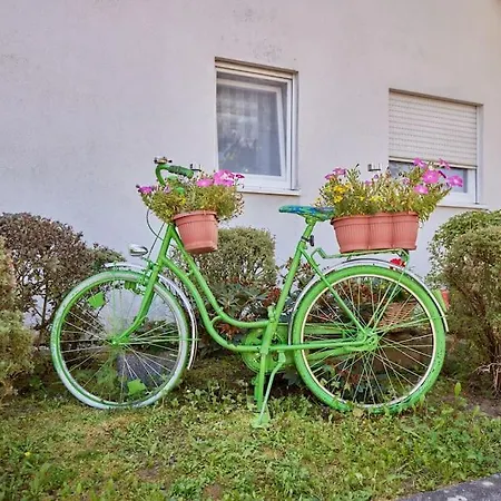 Mona - Idyllisches Oertchen شقة بوتشين